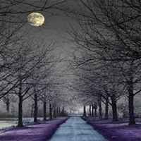 Moonlight_path